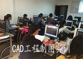 Auto cad與天正cad實訓(xùn)課